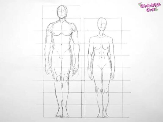 Anatomy and Proportions